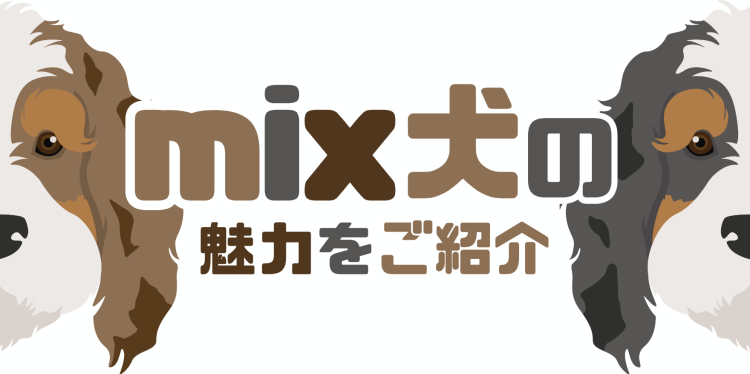 mix犬の魅力をご紹介